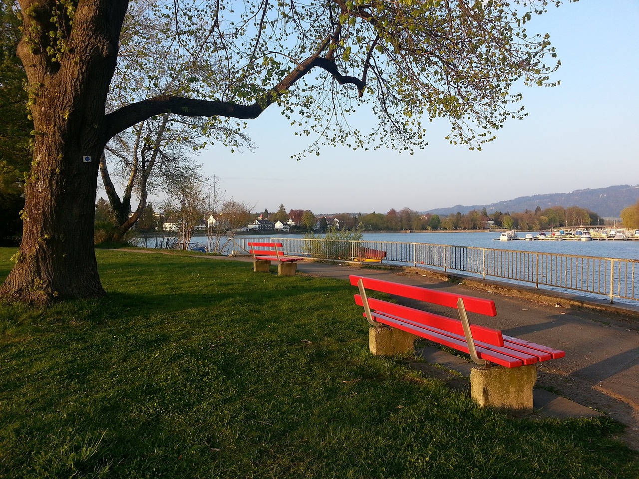 硬的发言 硬的发言