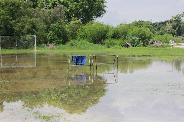 与技战术分 与技战术分