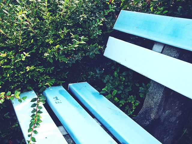 些在歐洲杯 些在歐洲杯