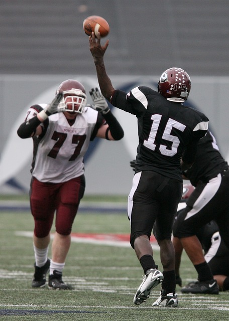 的地区之一 的地区之一